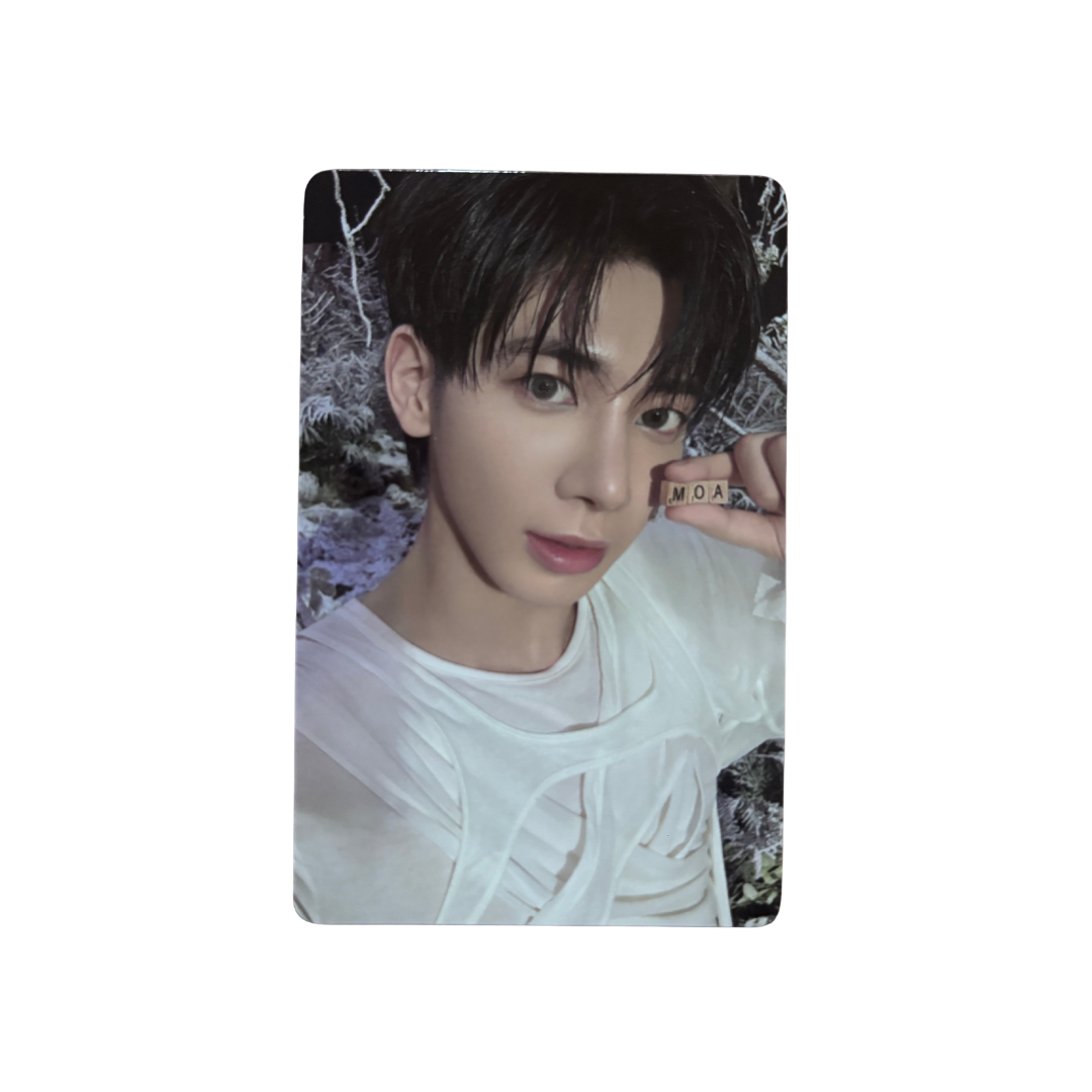[PHOTOCARD] TXT Sanctuary KNIGHT / LOVER / SAVIOR / ANGEL PC