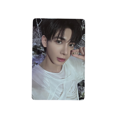 [PHOTOCARD] TXT Sanctuary KNIGHT / LOVER / SAVIOR / ANGEL PC