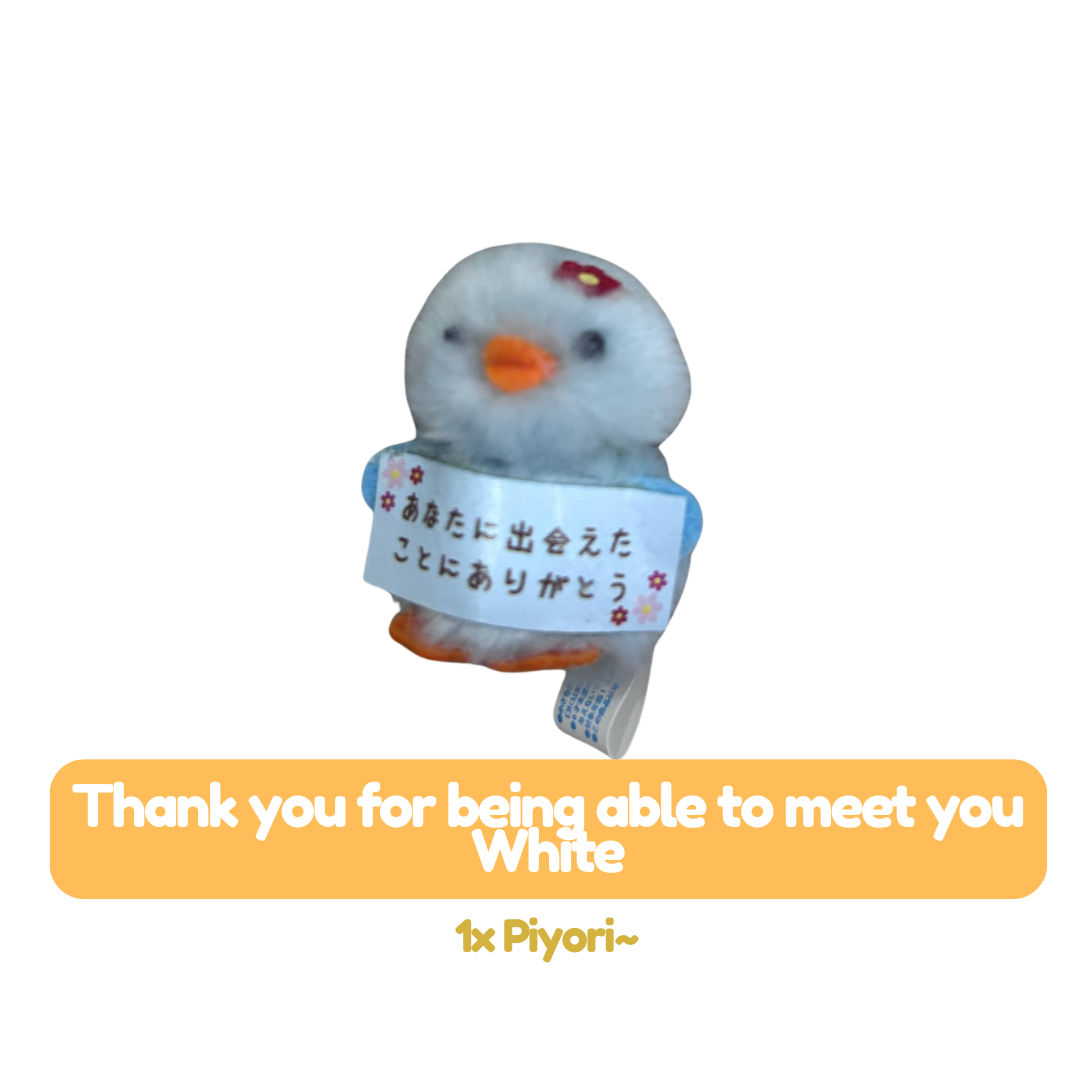 [MERCH] Piyora Chick Mascot Limited Japan
