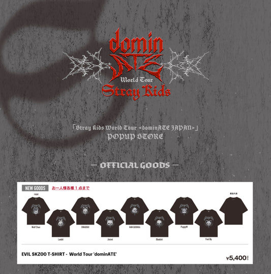 [MERCH] Stray Kids Japan Dominate World Tour