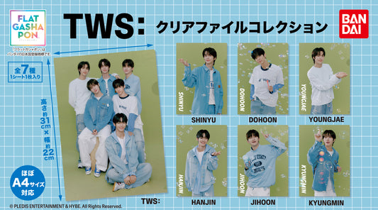 [Flat Gashapon] TWS From PLEDIS ENTERTAINMENT Clear File Collection