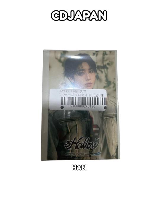 [POB] Stray Kids Japan Hollow Japan CDJapan POB Photocard PC