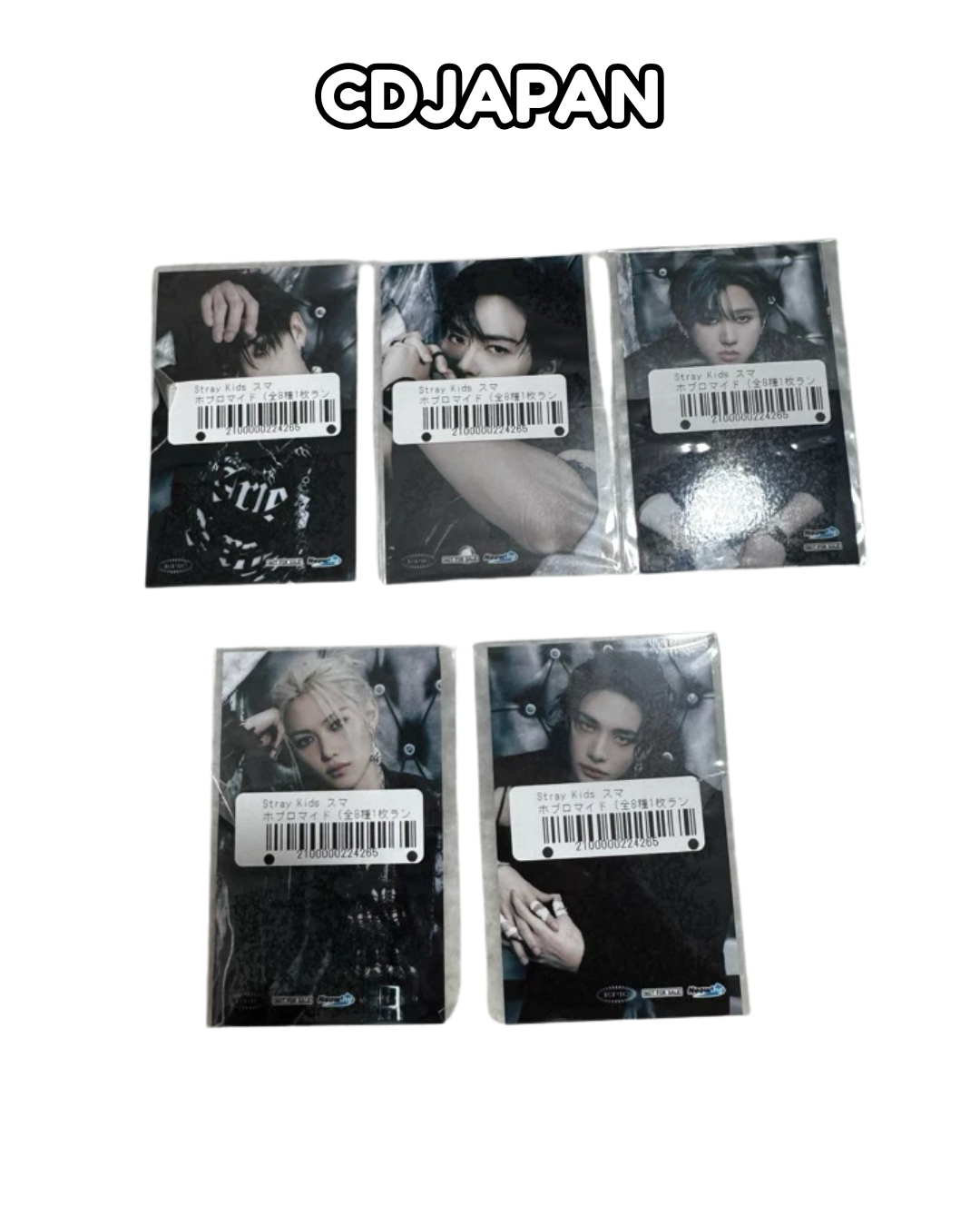 [POB] Stray Kids Japan Giant CdJapan POB Photocard Pc