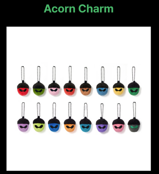 [MERCH] BTS JHOPE Hope On The Stage Final Acorn Charm