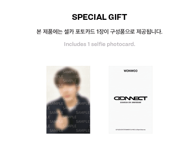 [MERCH] Seventeen 8th Anniversary - Wonwoo Earrings