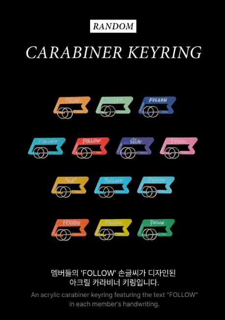[MERCH] Seventeen Follow Carabiner Keyring