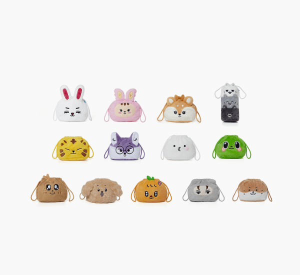 [MERCH] Seventeen Miniteen Pouch