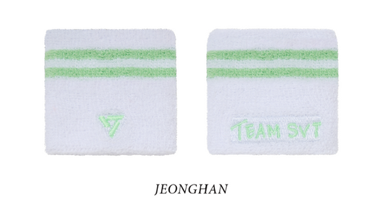 [MERCH] Seventeen FOLLOW AGAIN JAPAN Wrist Band