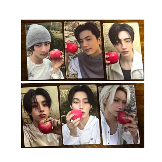 [POB] ENHYPEN THE SIN: VANISH Weverse Showcase Regular Ver Photocard