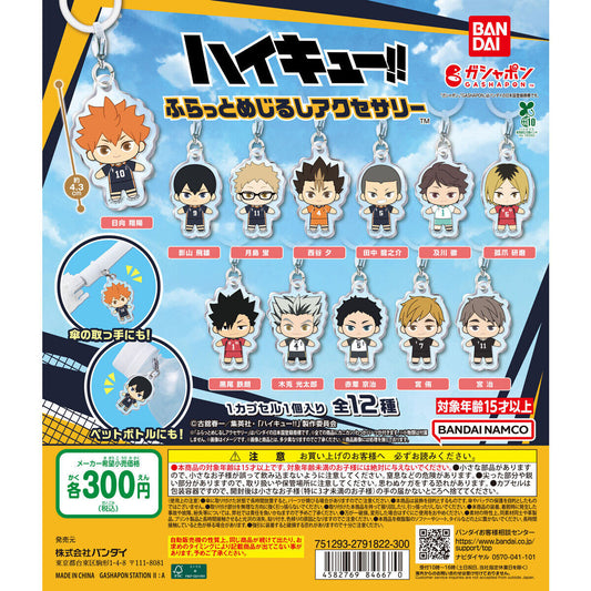 [GASHAPON] Haikyu!! Flat Sign Accessories Gacha Capsule